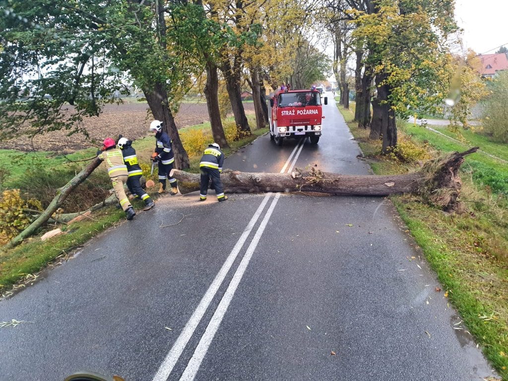 wichura powiat pucki październik 2021