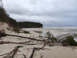 sztorm dębki plaża wichura 2022